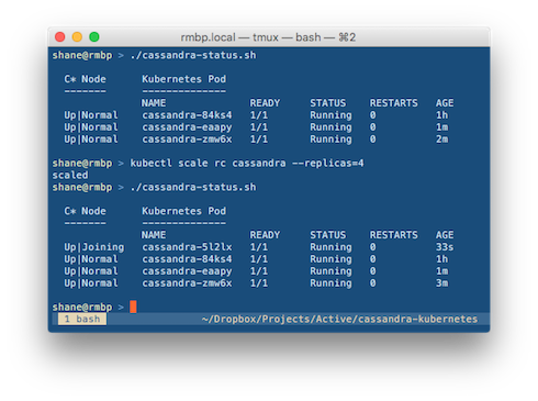 Cassandra cluster in terminal window